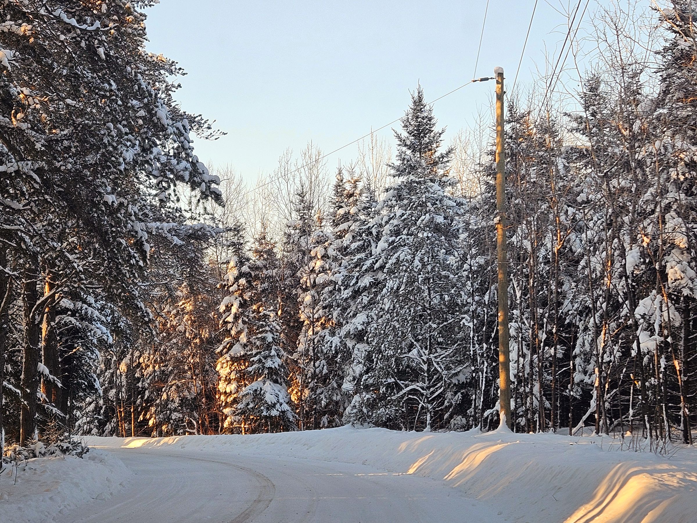 Snowy winter road lined with trees leading to Chalet Nantel